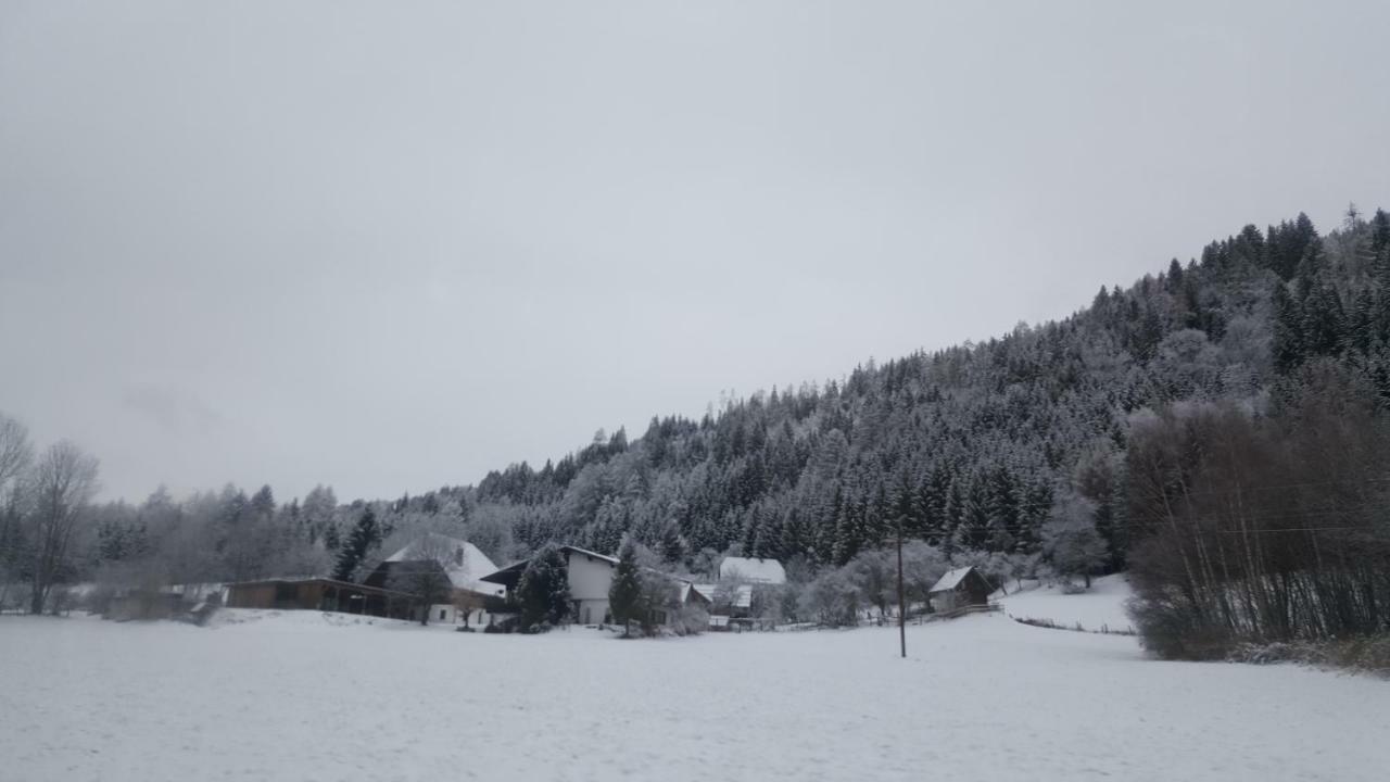 Nockalm Cottage Bad Kleinkirchheim Exterior photo